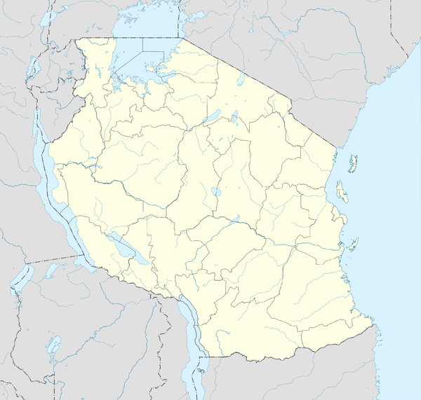 Stadt in Tansania (Tansania)